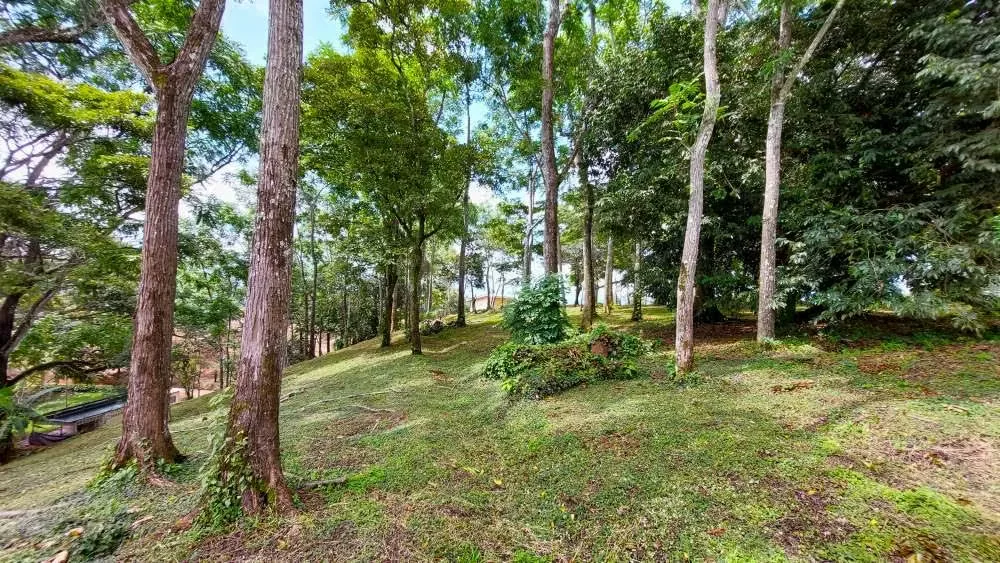 LOTE CEDROS is a gorgeous 6,227m² (1.54acres) ready-to-build residential lot surrounded by Nature in Altos Los Cafetales in Puriscal. It has a water-meter installed, electricity, ..., photo 12