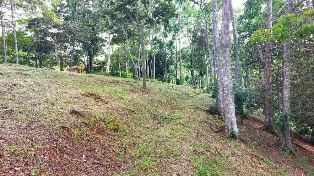 LOTE CEDROS is a gorgeous 6,227m² (1.54acres) ready-to-build residential lot surrounded by Nature in Altos Los Cafetales in Puriscal. It has a water-meter installed, electricity, ..., photo 14