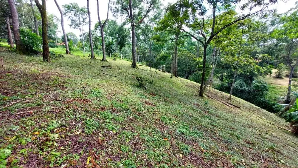LOTE CEDROS is a gorgeous 6,227m² (1.54acres) ready-to-build residential lot surrounded by Nature in Altos Los Cafetales in Puriscal. It has a water-meter installed, electricity, ..., photo 16