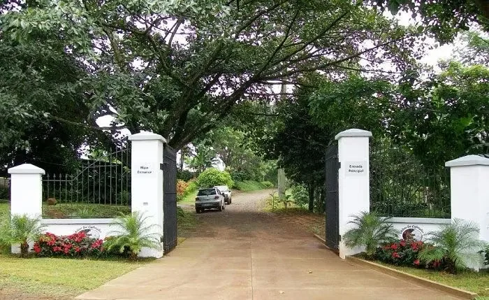 LOTE CEDROS is a gorgeous 6,227m² (1.54acres) ready-to-build residential lot surrounded by Nature in Altos Los Cafetales in Puriscal. It has a water-meter installed, electricity, ..., photo 3