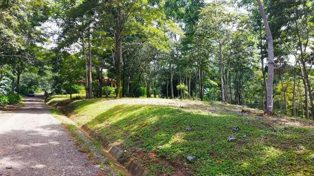 LOTE CEDROS is a gorgeous 6,227m² (1.54acres) ready-to-build residential lot surrounded by Nature in Altos Los Cafetales in Puriscal. It has a water-meter installed, electricity, ..., photo 5