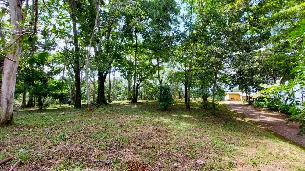 LOTE CEDROS is a gorgeous 6,227m² (1.54acres) ready-to-build residential lot surrounded by Nature in Altos Los Cafetales in Puriscal. It has a water-meter installed, electricity, ..., photo 6