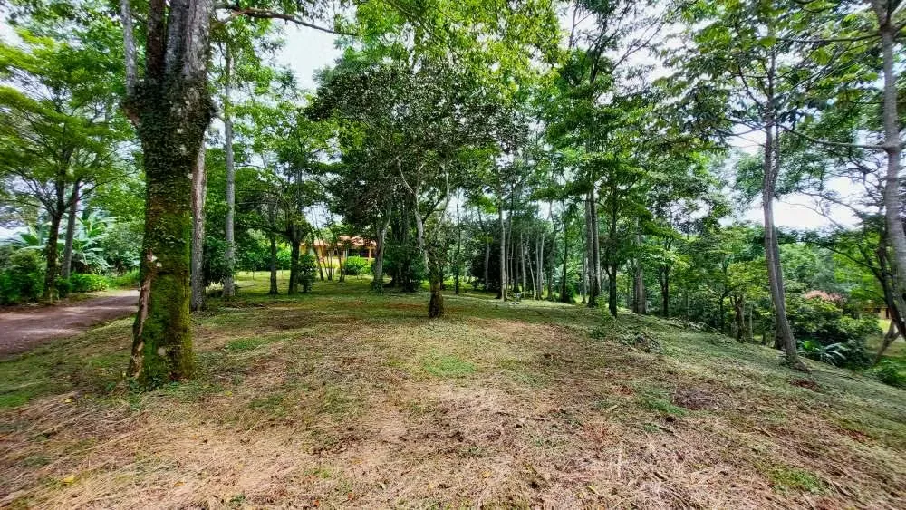LOTE CEDROS is a gorgeous 6,227m² (1.54acres) ready-to-build residential lot surrounded by Nature in Altos Los Cafetales in Puriscal. It has a water-meter installed, electricity, ..., photo 7