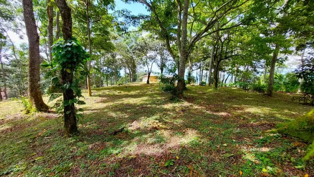 LOTE CEDROS is a gorgeous 6,227m² (1.54acres) ready-to-build residential lot surrounded by Nature in Altos Los Cafetales in Puriscal. It has a water-meter installed, electricity, ..., photo 8