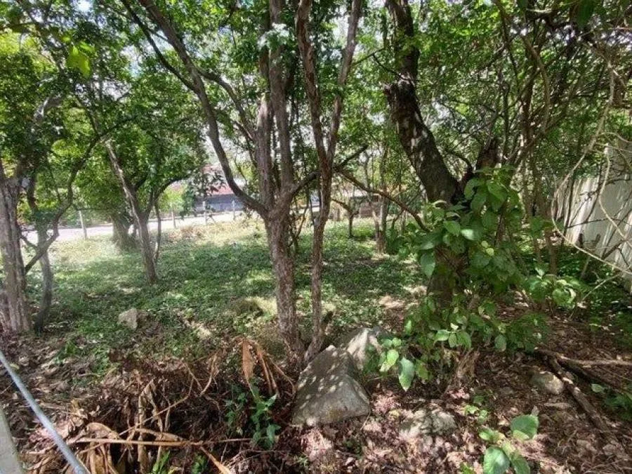 Se vende lote en Escazú (DJ 24-778) - Venta en Escazú, photo 10
