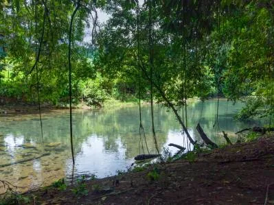 Cabaña renovada a orillas del río, cerca de Playa Dominical, photo 2