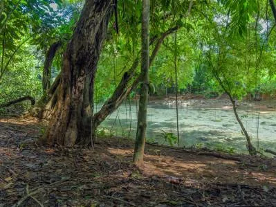 Cabaña renovada a orillas del río, cerca de Playa Dominical, photo 3