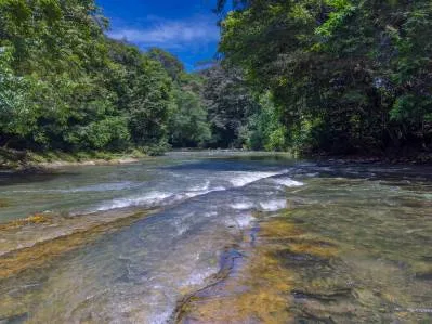 Cabaña renovada a orillas del río, cerca de Playa Dominical, photo 7