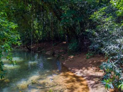 Cabaña renovada a orillas del río, cerca de Playa Dominical, photo 9