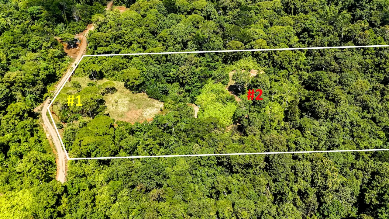 COSTA AZUL BUILDING PROPERTY WITH PRIVACY, NATURE, AND VIEWS ON THE SOUTH PACIFIC, IN TRES RIOS – 4.1 ACRES, photo 2