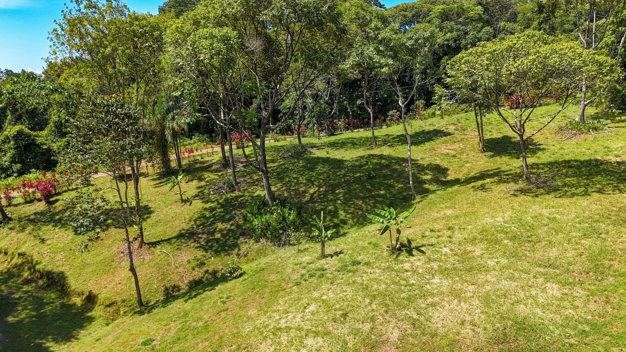 COSTA AZUL BUILDING PROPERTY WITH PRIVACY, NATURE, AND VIEWS ON THE SOUTH PACIFIC, IN TRES RIOS – 4.1 ACRES, photo 11