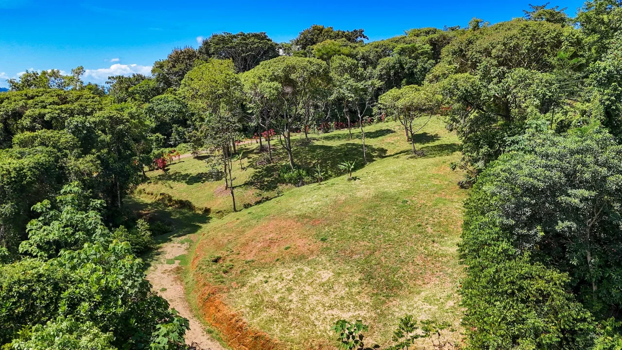 COSTA AZUL BUILDING PROPERTY WITH PRIVACY, NATURE, AND VIEWS ON THE SOUTH PACIFIC, IN TRES RIOS – 4.1 ACRES, photo 12