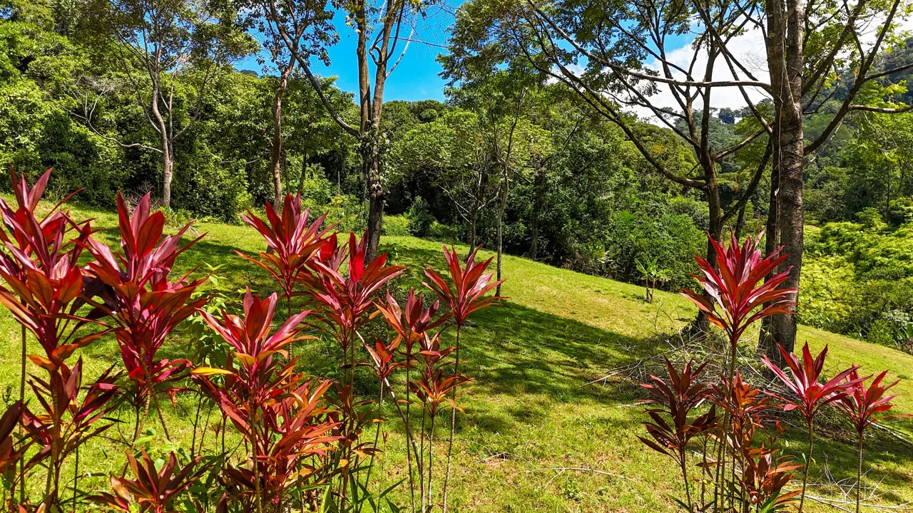 COSTA AZUL BUILDING PROPERTY WITH PRIVACY, NATURE, AND VIEWS ON THE SOUTH PACIFIC, IN TRES RIOS – 4.1 ACRES, photo 13
