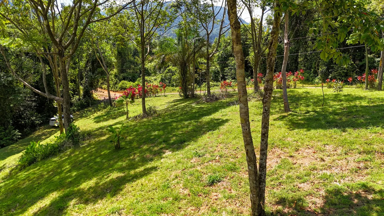 COSTA AZUL BUILDING PROPERTY WITH PRIVACY, NATURE, AND VIEWS ON THE SOUTH PACIFIC, IN TRES RIOS – 4.1 ACRES, photo 14