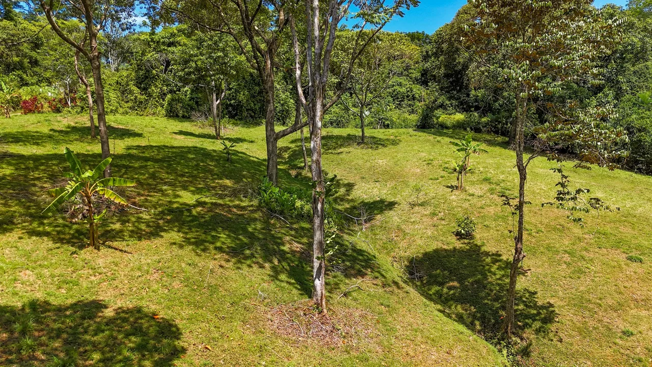 COSTA AZUL BUILDING PROPERTY WITH PRIVACY, NATURE, AND VIEWS ON THE SOUTH PACIFIC, IN TRES RIOS – 4.1 ACRES, photo 15