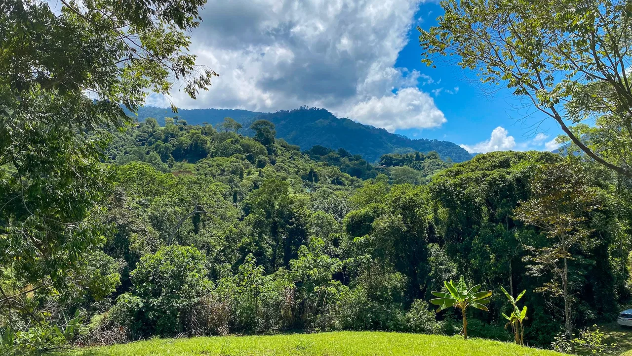 COSTA AZUL BUILDING PROPERTY WITH PRIVACY, NATURE, AND VIEWS ON THE SOUTH PACIFIC, IN TRES RIOS – 4.1 ACRES, photo 17