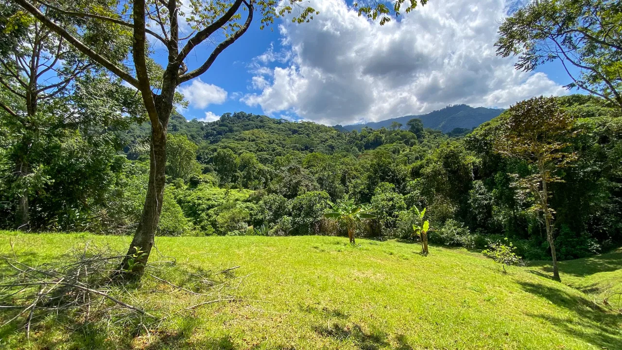 COSTA AZUL BUILDING PROPERTY WITH PRIVACY, NATURE, AND VIEWS ON THE SOUTH PACIFIC, IN TRES RIOS – 4.1 ACRES, photo 18