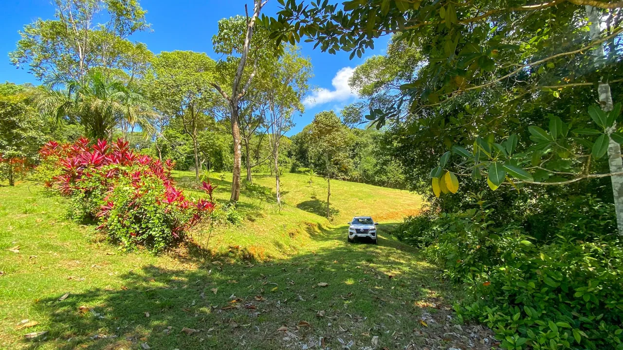 COSTA AZUL BUILDING PROPERTY WITH PRIVACY, NATURE, AND VIEWS ON THE SOUTH PACIFIC, IN TRES RIOS – 4.1 ACRES, photo 19