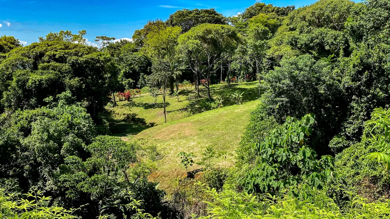 COSTA AZUL BUILDING PROPERTY WITH PRIVACY, NATURE, AND VIEWS ON THE SOUTH PACIFIC, IN TRES RIOS – 4.1 ACRES, photo 20