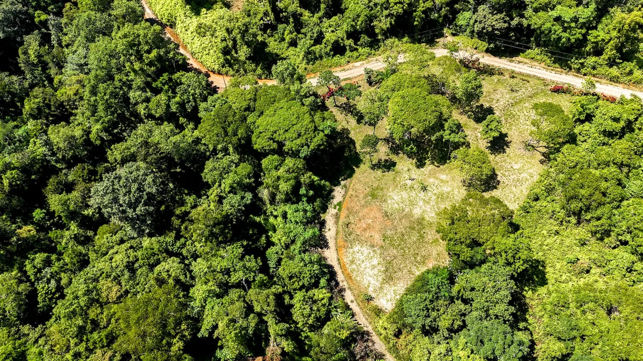 COSTA AZUL BUILDING PROPERTY WITH PRIVACY, NATURE, AND VIEWS ON THE SOUTH PACIFIC, IN TRES RIOS – 4.1 ACRES, photo 3