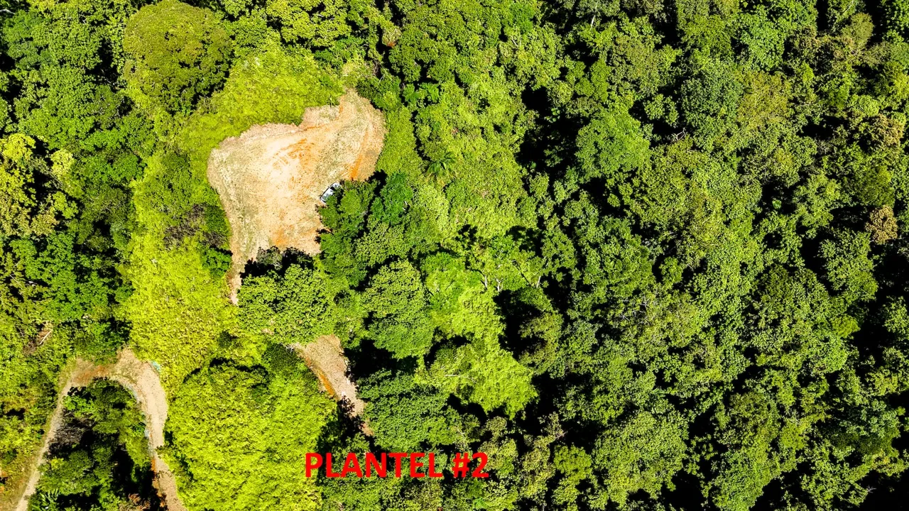 COSTA AZUL BUILDING PROPERTY WITH PRIVACY, NATURE, AND VIEWS ON THE SOUTH PACIFIC, IN TRES RIOS – 4.1 ACRES, photo 21