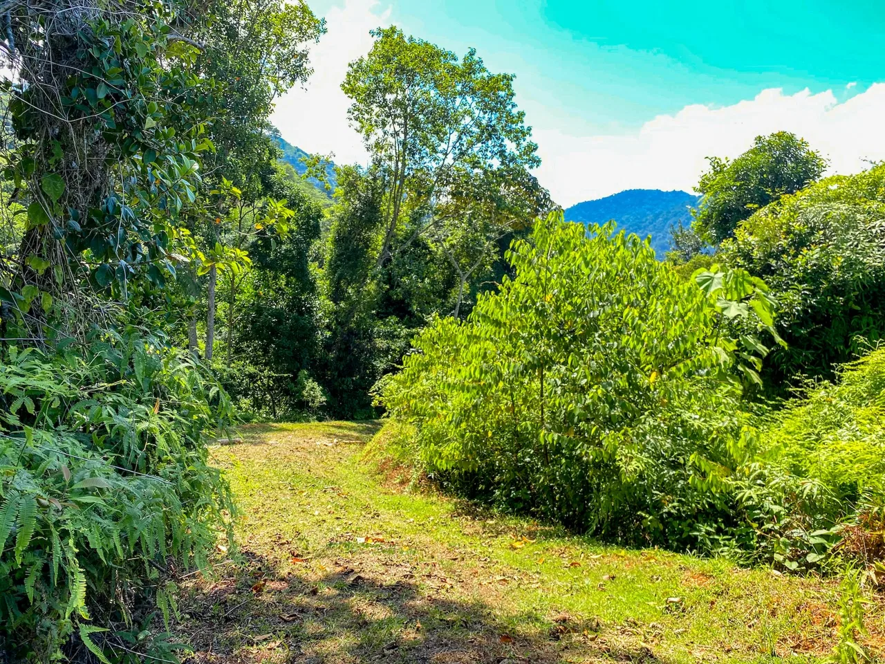 COSTA AZUL BUILDING PROPERTY WITH PRIVACY, NATURE, AND VIEWS ON THE SOUTH PACIFIC, IN TRES RIOS – 4.1 ACRES, photo 23