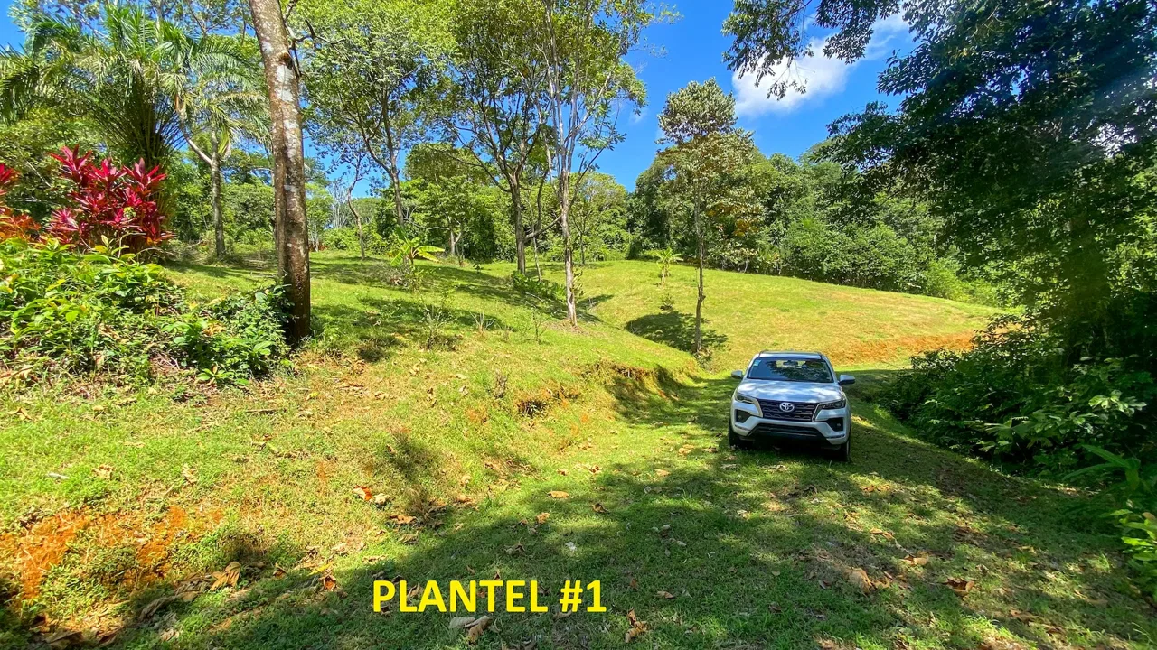 COSTA AZUL BUILDING PROPERTY WITH PRIVACY, NATURE, AND VIEWS ON THE SOUTH PACIFIC, IN TRES RIOS – 4.1 ACRES, photo 4