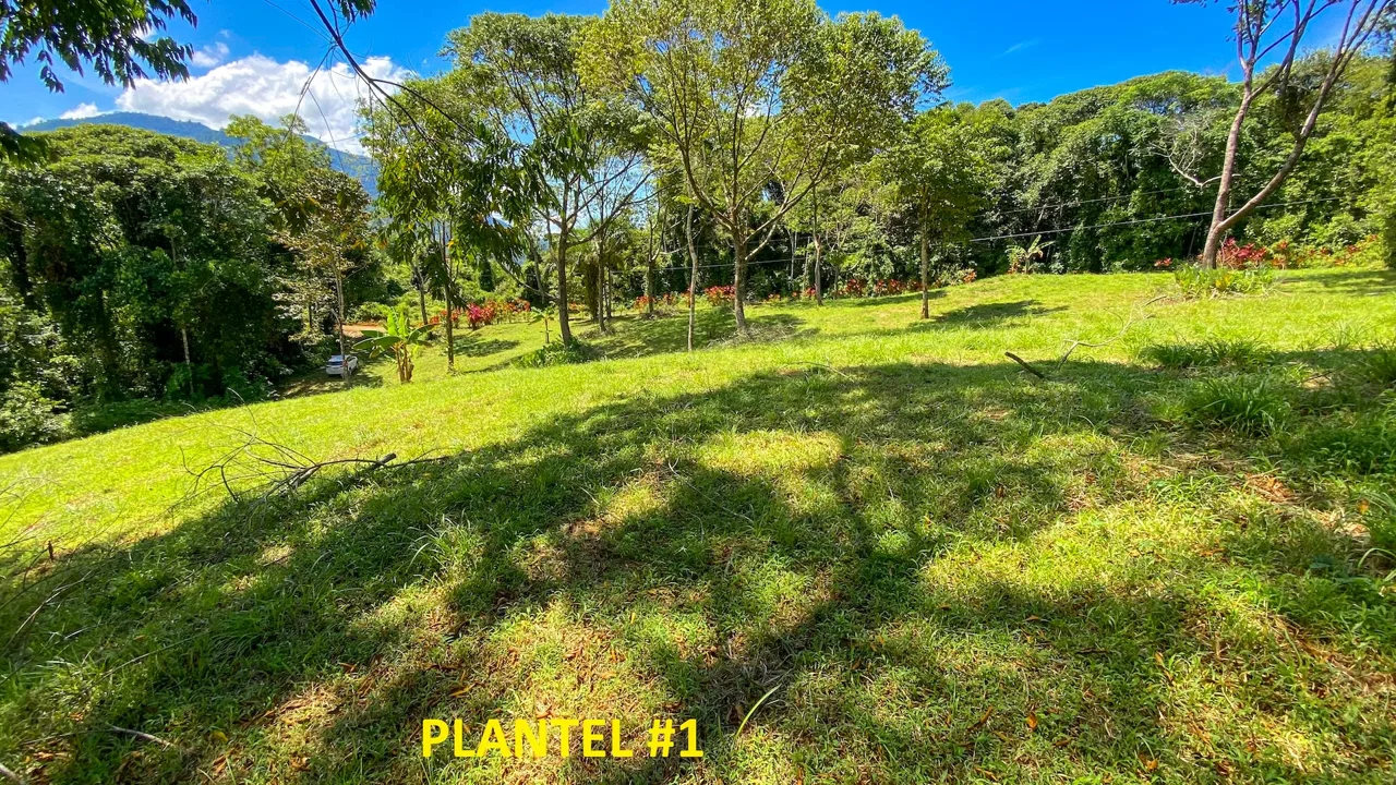 COSTA AZUL BUILDING PROPERTY WITH PRIVACY, NATURE, AND VIEWS ON THE SOUTH PACIFIC, IN TRES RIOS – 4.1 ACRES, photo 5