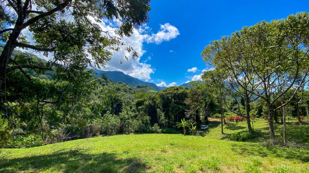 COSTA AZUL BUILDING PROPERTY WITH PRIVACY, NATURE, AND VIEWS ON THE SOUTH PACIFIC, IN TRES RIOS – 4.1 ACRES, photo 6