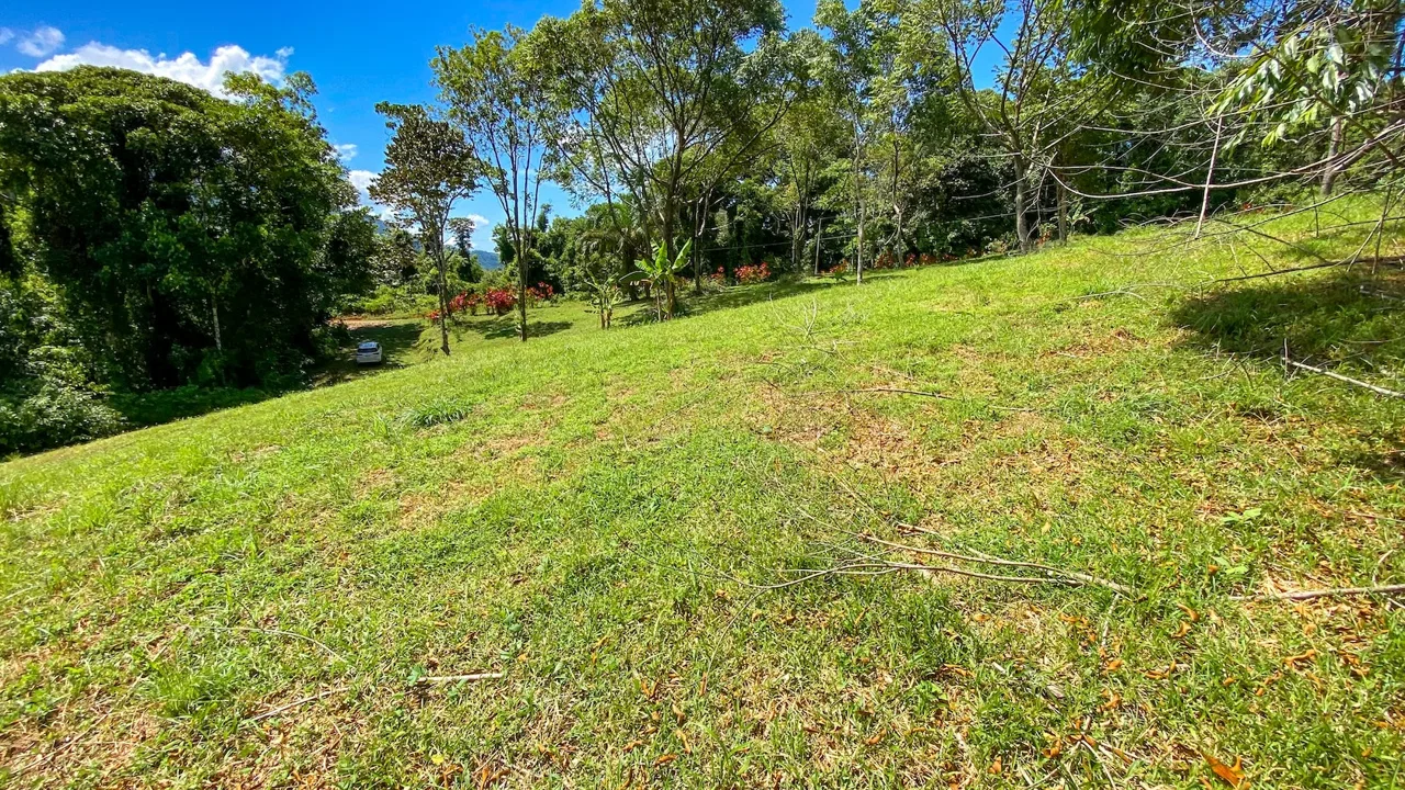 COSTA AZUL BUILDING PROPERTY WITH PRIVACY, NATURE, AND VIEWS ON THE SOUTH PACIFIC, IN TRES RIOS – 4.1 ACRES, photo 7