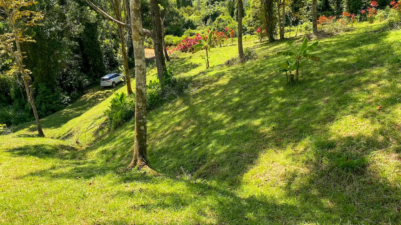 COSTA AZUL BUILDING PROPERTY WITH PRIVACY, NATURE, AND VIEWS ON THE SOUTH PACIFIC, IN TRES RIOS – 4.1 ACRES, photo 8