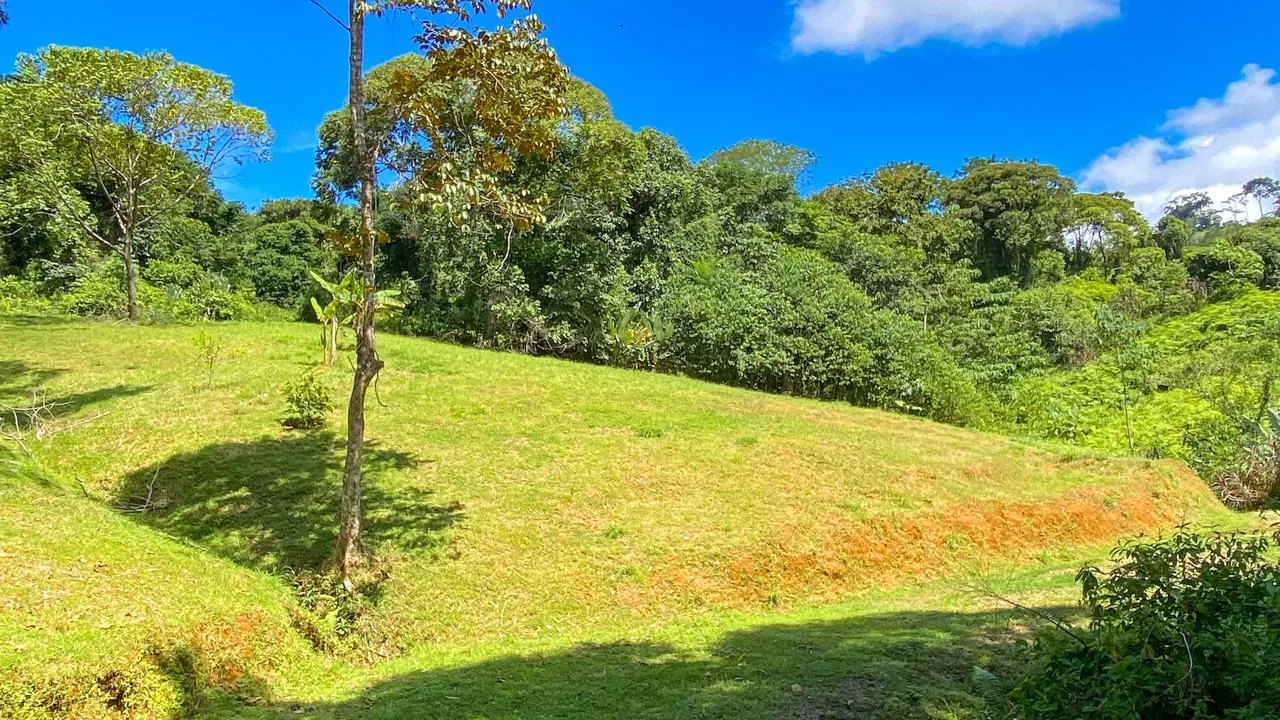 COSTA AZUL BUILDING PROPERTY WITH PRIVACY, NATURE, AND VIEWS ON THE SOUTH PACIFIC, IN TRES RIOS – 4.1 ACRES, photo 9
