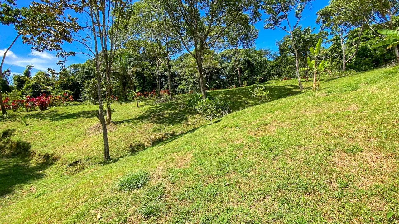 COSTA AZUL BUILDING PROPERTY WITH PRIVACY, NATURE, AND VIEWS ON THE SOUTH PACIFIC, IN TRES RIOS – 4.1 ACRES, photo 10