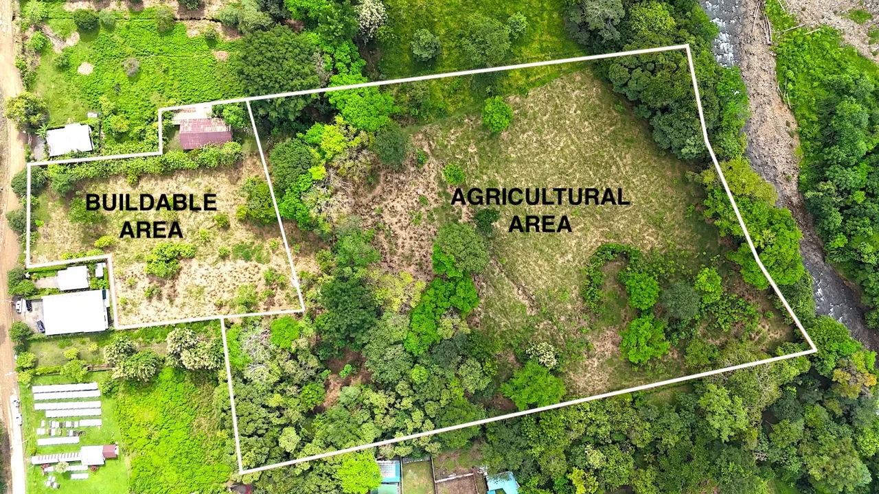 COMMERCIAL PROPERTY WITH AGRICULTURAL LAND IN UVITA – 10.67 Acres, photo 2