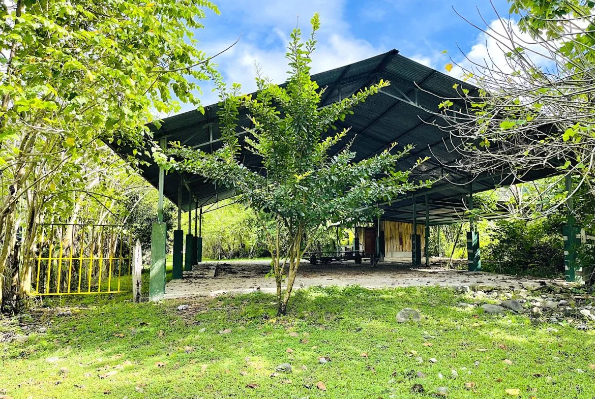 COMMERCIAL PROPERTY WITH AGRICULTURAL LAND IN UVITA – 10.67 Acres, photo 11