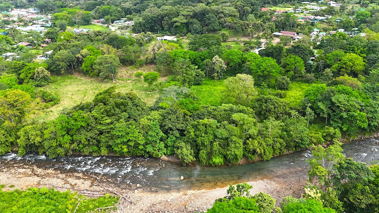 COMMERCIAL PROPERTY WITH AGRICULTURAL LAND IN UVITA – 10.67 Acres, photo 13