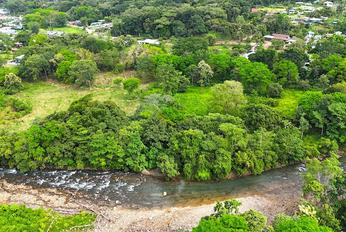 COMMERCIAL PROPERTY WITH AGRICULTURAL LAND IN UVITA – 10.67 Acres, photo 14