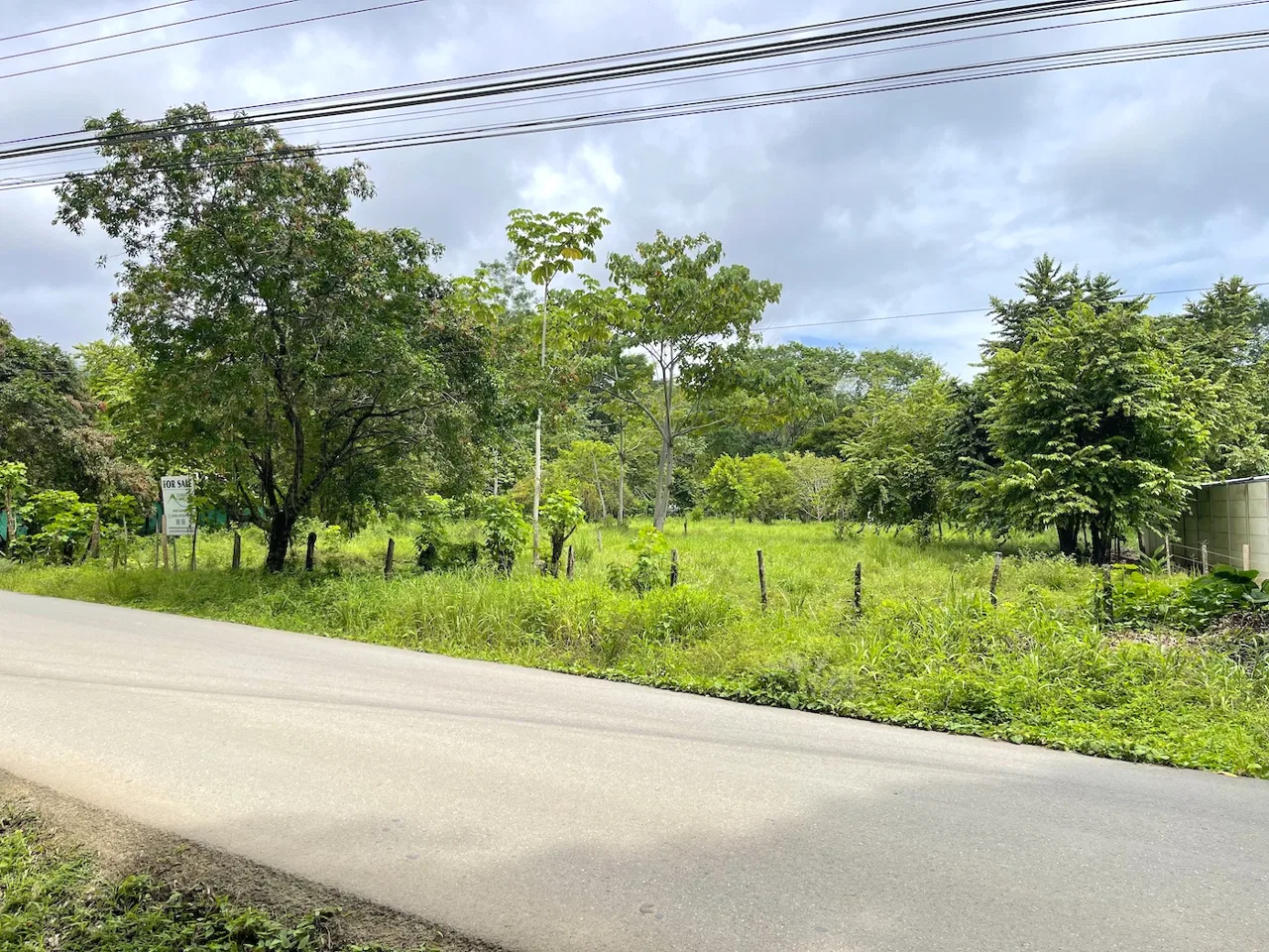 COMMERCIAL PROPERTY WITH AGRICULTURAL LAND IN UVITA – 10.67 Acres, photo 3