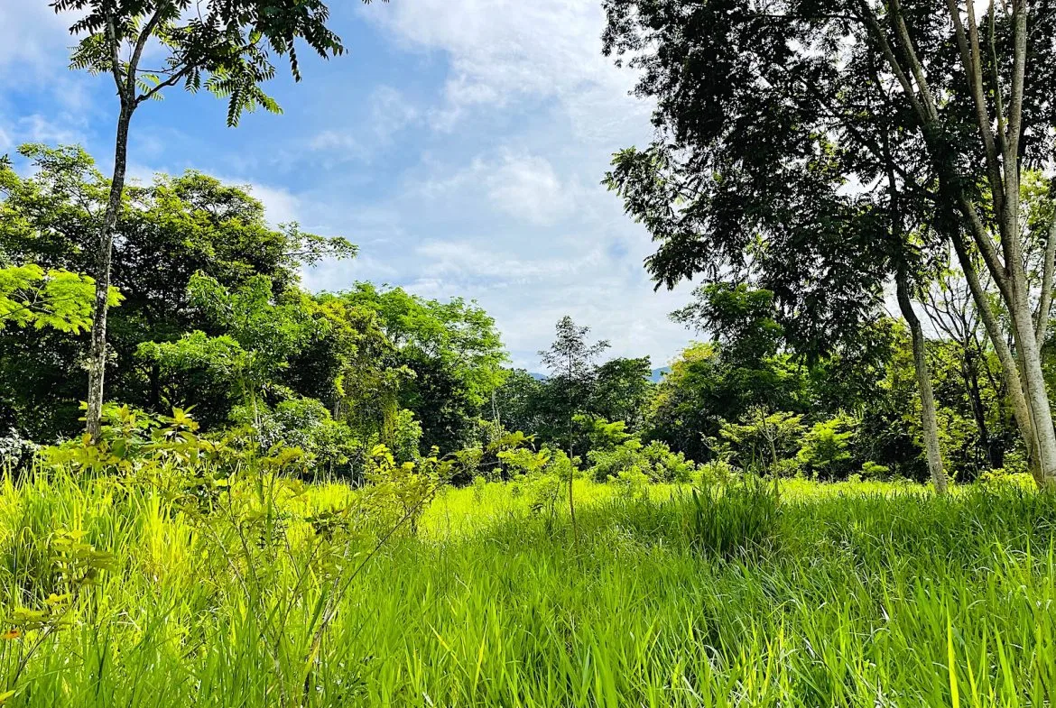 COMMERCIAL PROPERTY WITH AGRICULTURAL LAND IN UVITA – 10.67 Acres, photo 22