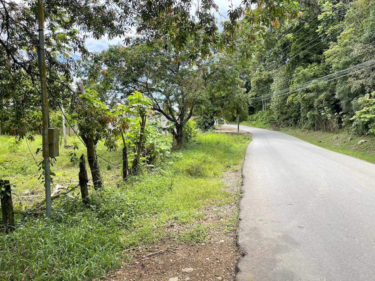 COMMERCIAL PROPERTY WITH AGRICULTURAL LAND IN UVITA – 10.67 Acres, photo 4