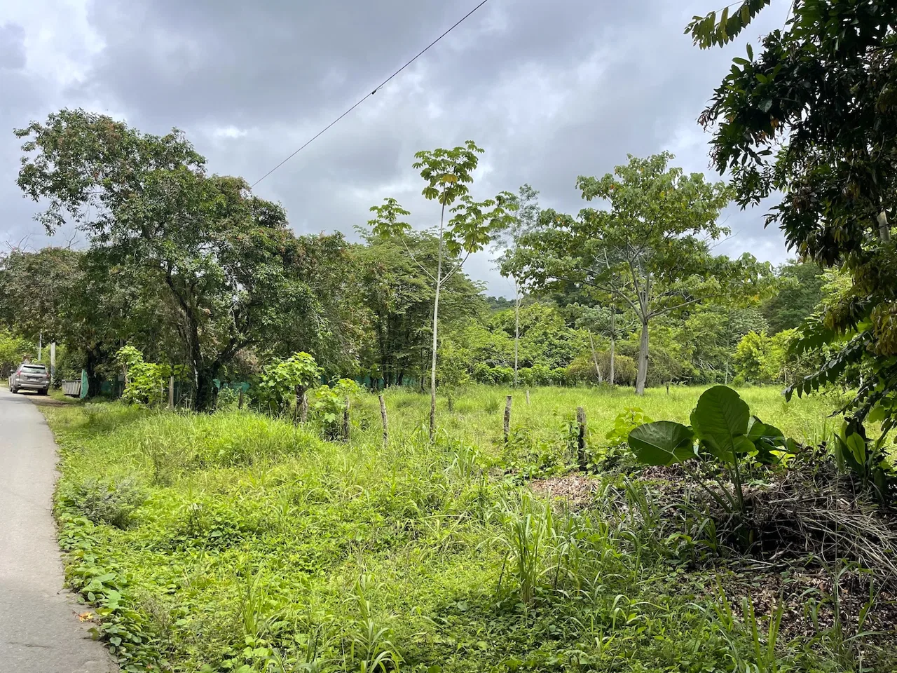 COMMERCIAL PROPERTY WITH AGRICULTURAL LAND IN UVITA – 10.67 Acres, photo 5