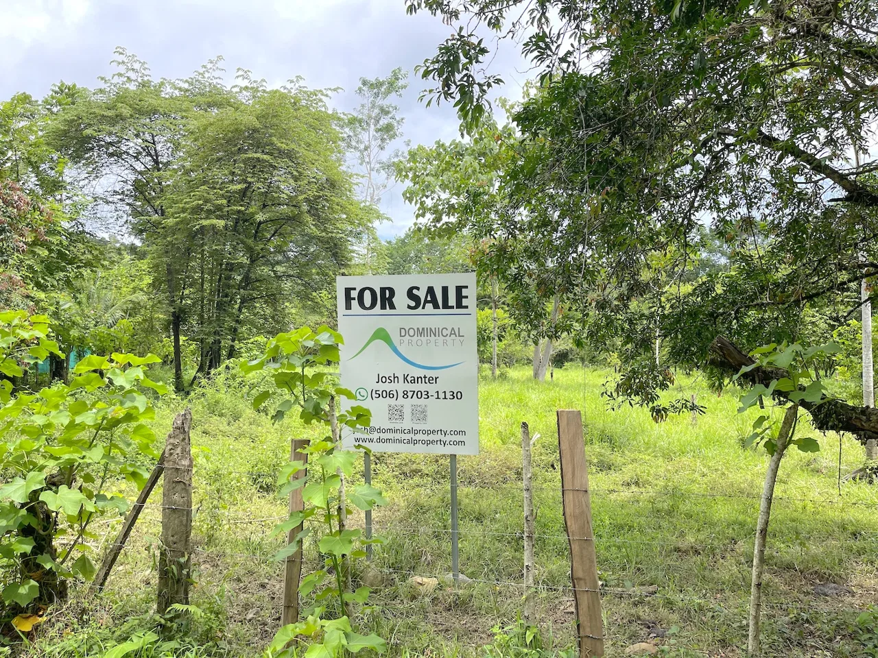 COMMERCIAL PROPERTY WITH AGRICULTURAL LAND IN UVITA – 10.67 Acres, photo 6