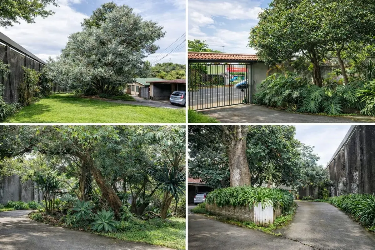 Strategically located in the heart of Sabanilla, Montes de Oca, this property sits directly adjacent to the Central Park on the main road. It is positioned in one of the highest-growth ..., photo 2