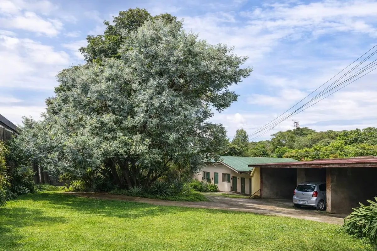 Strategically located in the heart of Sabanilla, Montes de Oca, this property sits directly adjacent to the Central Park on the main road. It is positioned in one of the highest-growth ..., photo 5