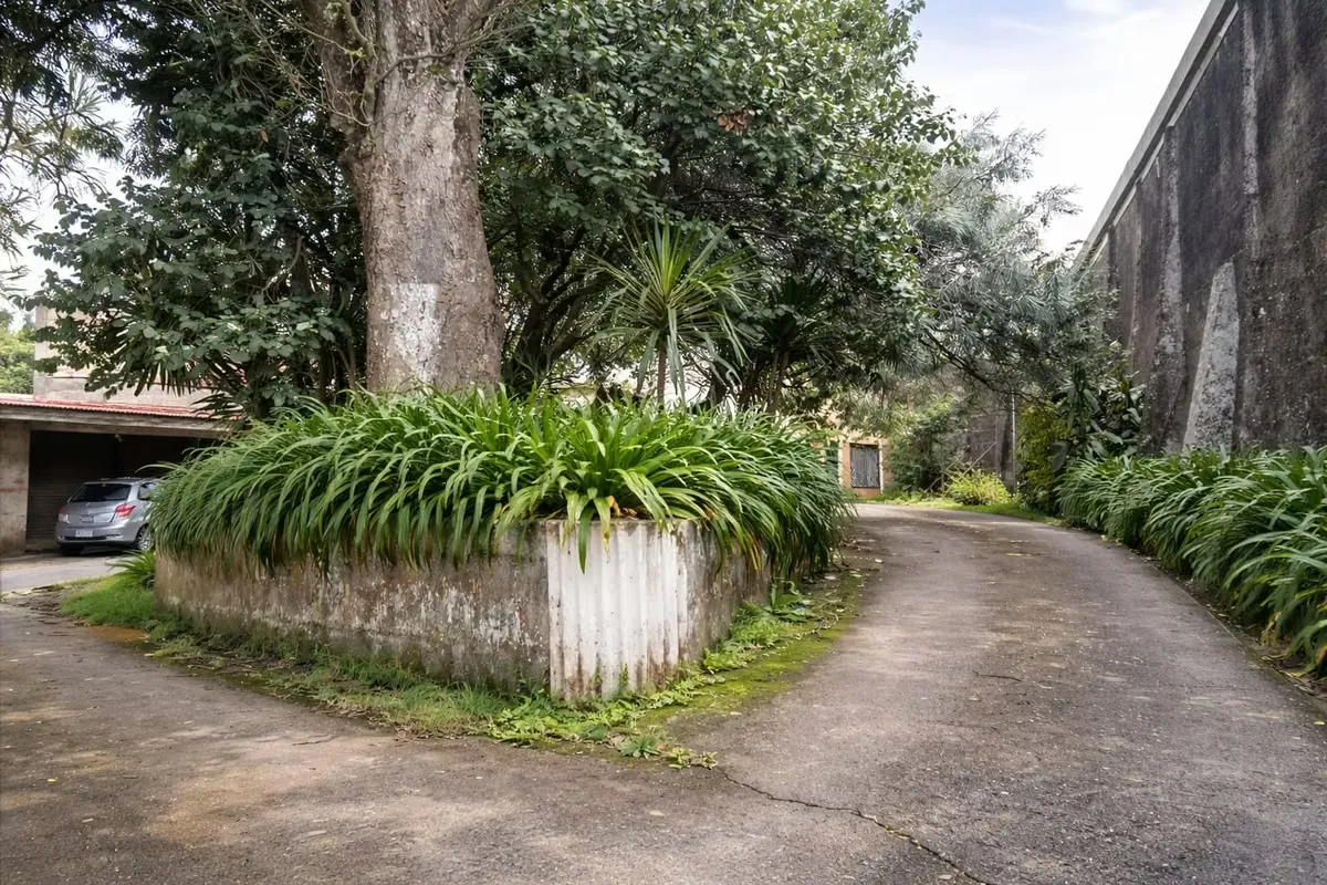 Strategically located in the heart of Sabanilla, Montes de Oca, this property sits directly adjacent to the Central Park on the main road. It is positioned in one of the highest-growth ..., photo 7