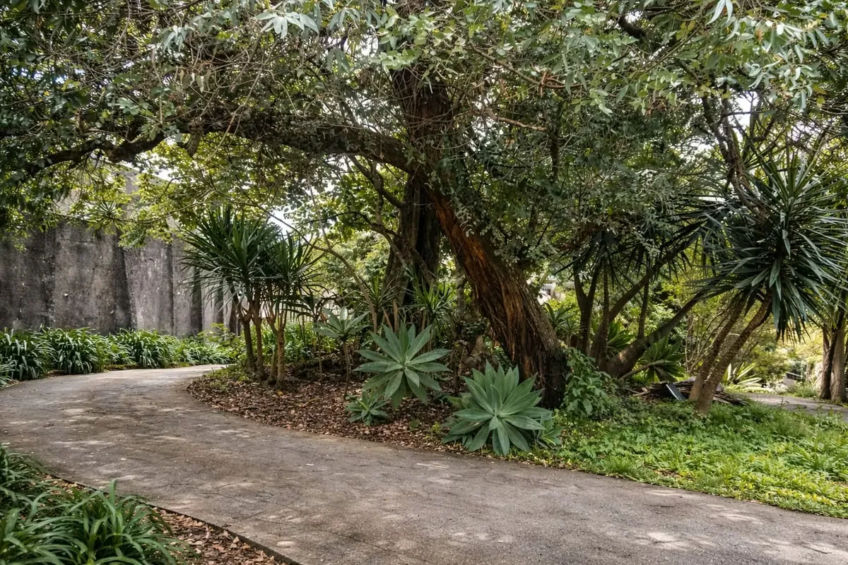 Strategically located in the heart of Sabanilla, Montes de Oca, this property sits directly adjacent to the Central Park on the main road. It is positioned in one of the highest-growth ..., photo 8