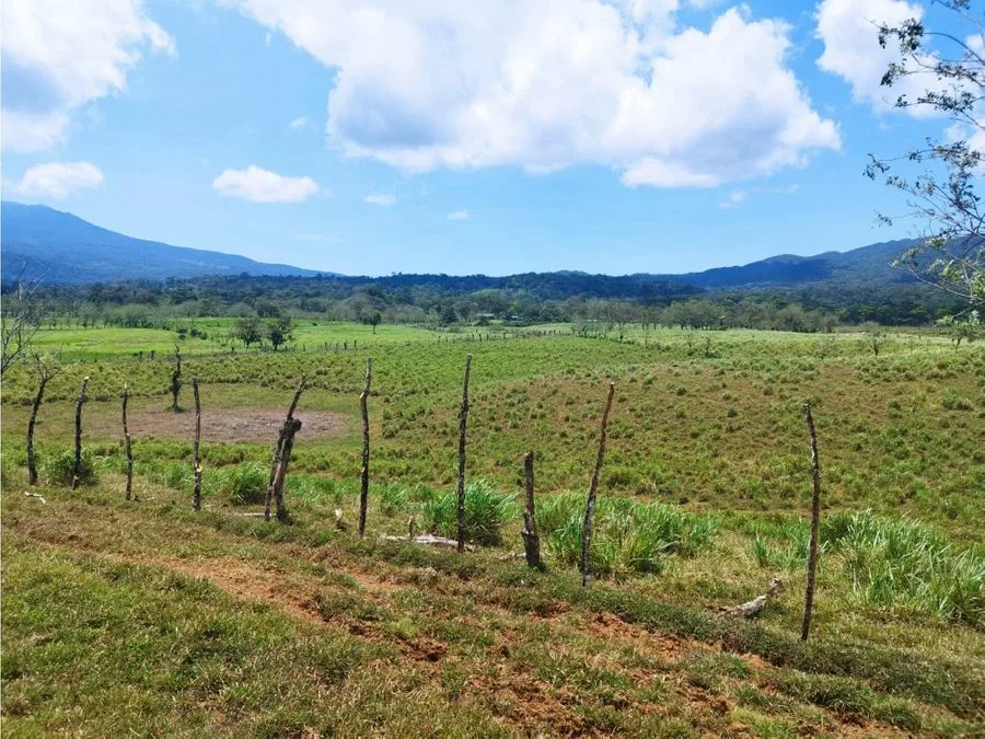 Se Vende (Venta) Finca Producción, Dos Ríos Upala Cod FU 1369