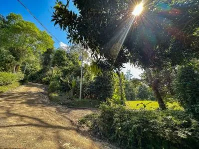 Un lote preparado de 1,5 acres inmerso en la jungla con vistas espectaculares de Whale's Tail, photo 4