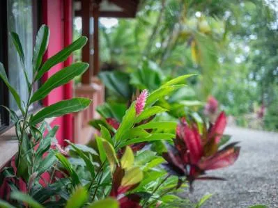PROPERTY WITH OCEAN VIEW, IN ESCALERAS – 0.7 ACRES, photo 30