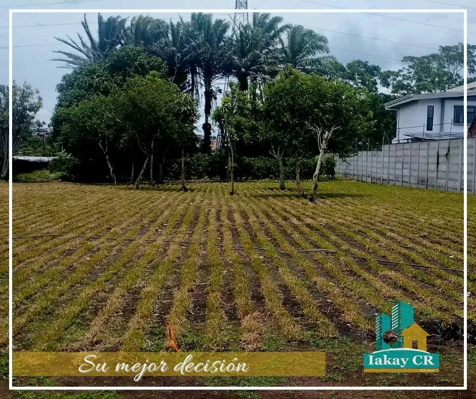 VENTA LOTE USO RESIDENCIAL SANTO DOMINGO, photo 5